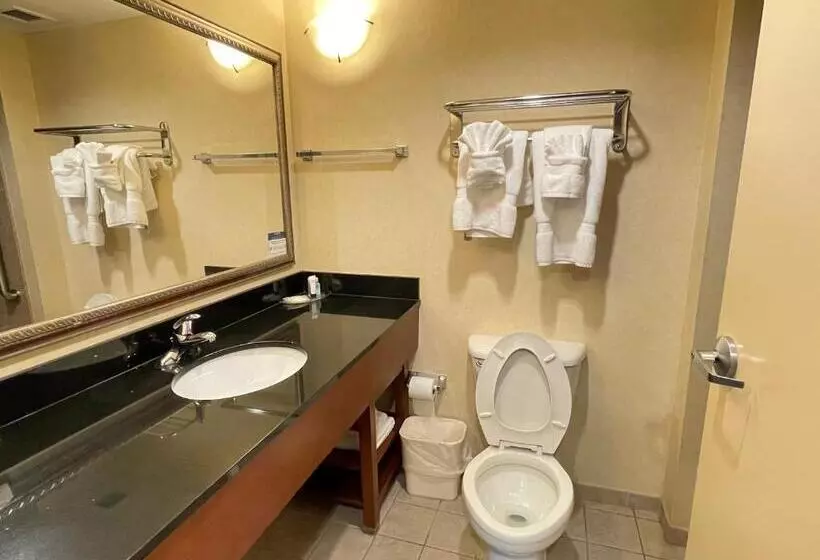 キングサイズベッドのスイートルーム, Comfort Suites Fredericksburg North