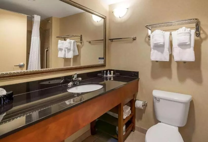 キングサイズベッドのスイートルーム, Comfort Suites Fredericksburg North
