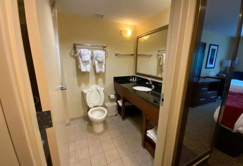 キングサイズベッドのスイートルーム, Comfort Suites Fredericksburg North