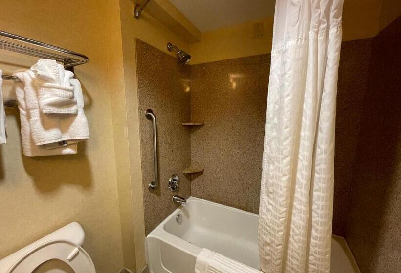 מיטת קינג בסוויטה, Comfort Suites Fredericksburg North