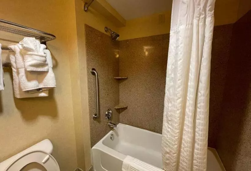 キングサイズベッドのスイートルーム, Comfort Suites Fredericksburg North