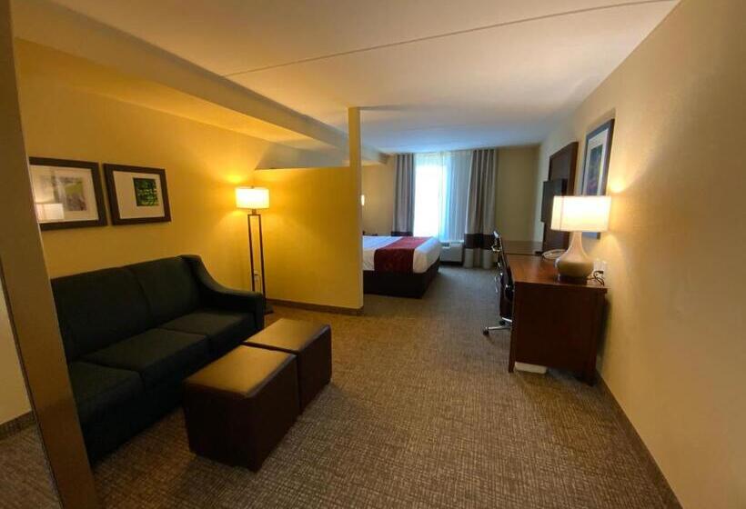 Люкс Кровать Кинг, Comfort Suites Fredericksburg North