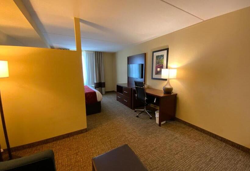 Люкс Кровать Кинг, Comfort Suites Fredericksburg North