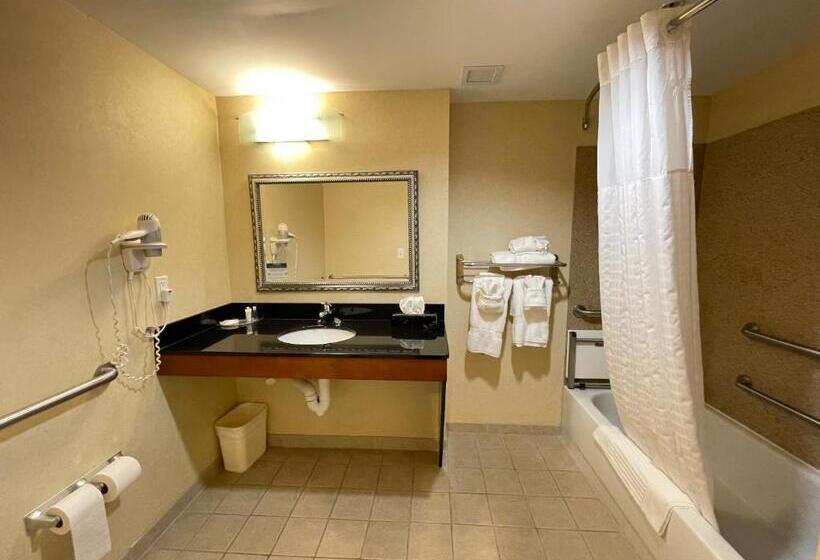 장애인을 위한 킹사이즈 침대 스탠다드 룸, Comfort Suites Fredericksburg North