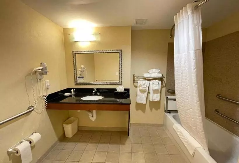 身障者適用キングサイズベッドルーム, Comfort Suites Fredericksburg North