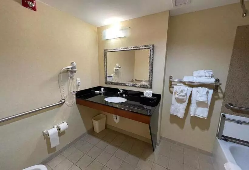 身障者適用キングサイズベッドルーム, Comfort Suites Fredericksburg North