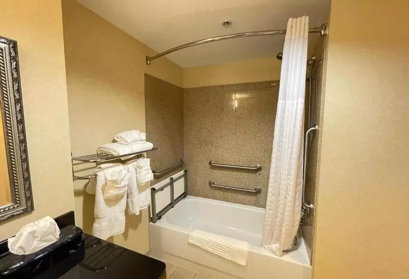 身障者適用キングサイズベッドルーム, Comfort Suites Fredericksburg North