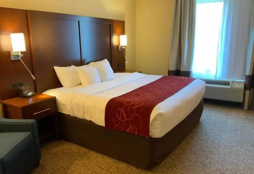 身障者適用キングサイズベッドルーム, Comfort Suites Fredericksburg North