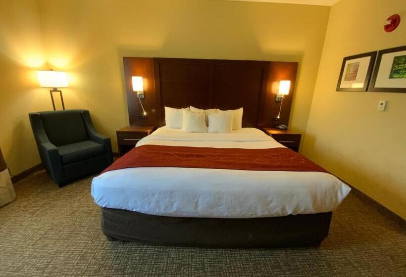 장애인을 위한 킹사이즈 침대 스탠다드 룸, Comfort Suites Fredericksburg North