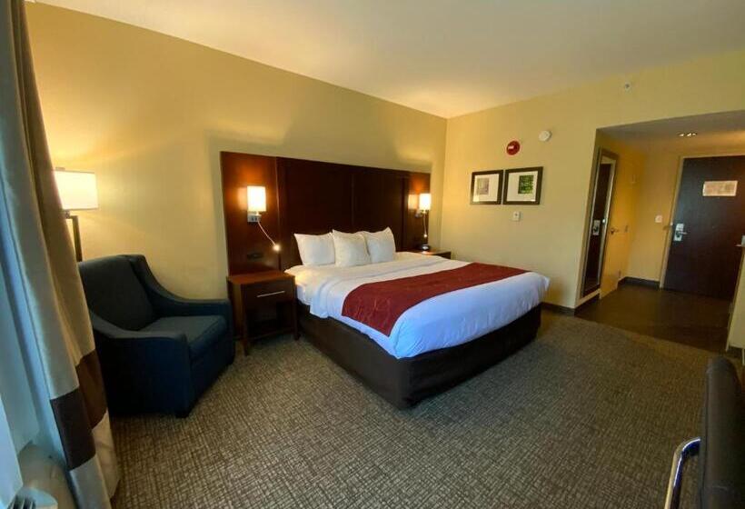 장애인을 위한 킹사이즈 침대 스탠다드 룸, Comfort Suites Fredericksburg North