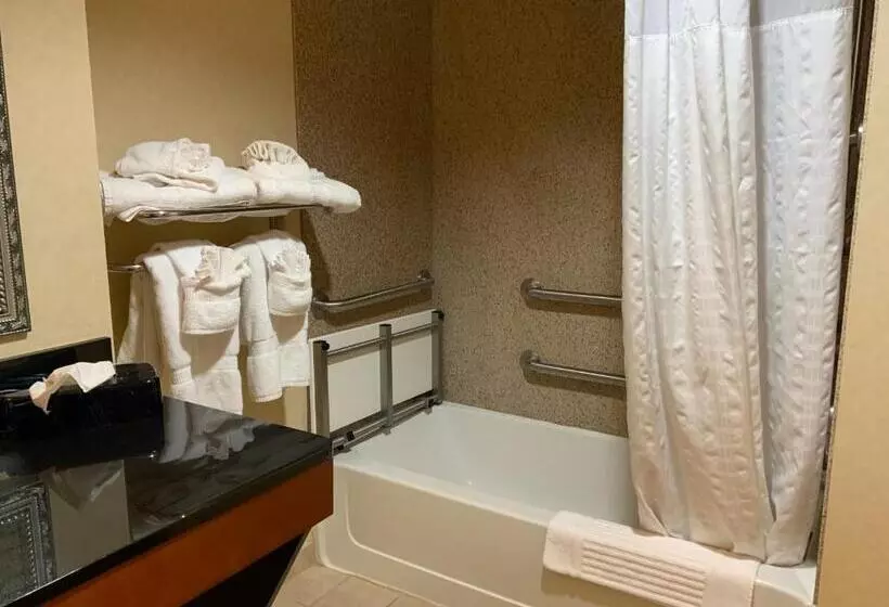 身障者適用スイートルーム, Comfort Suites Fredericksburg North