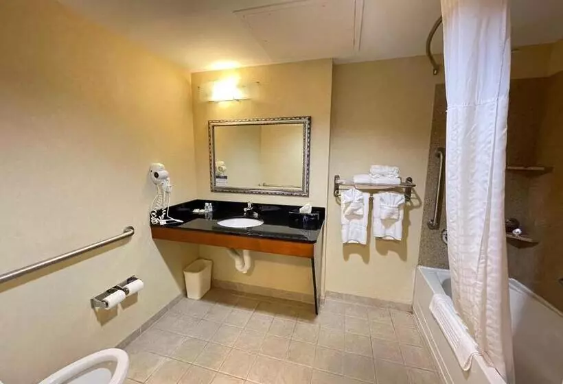 身障者適用スイートルーム, Comfort Suites Fredericksburg North