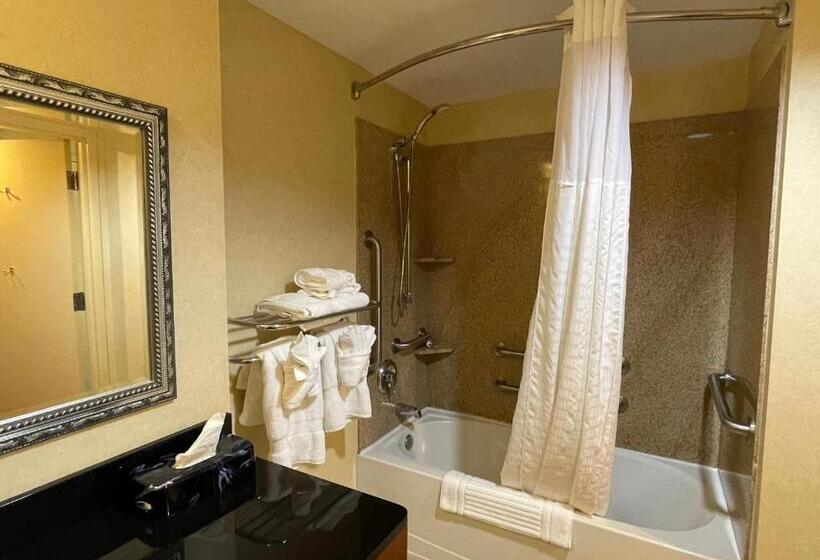Люкс Адаптированный для Инвалидов, Comfort Suites Fredericksburg North