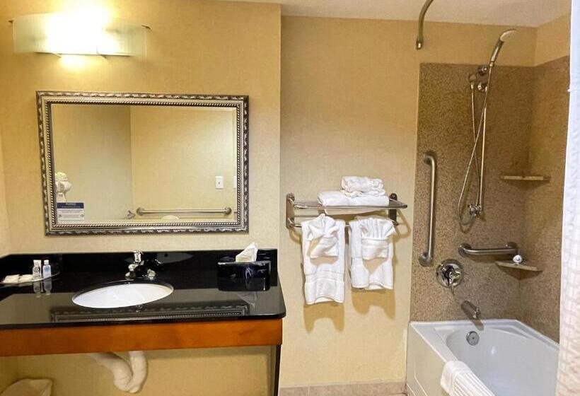 适合残疾人士使用的套间, Comfort Suites Fredericksburg North