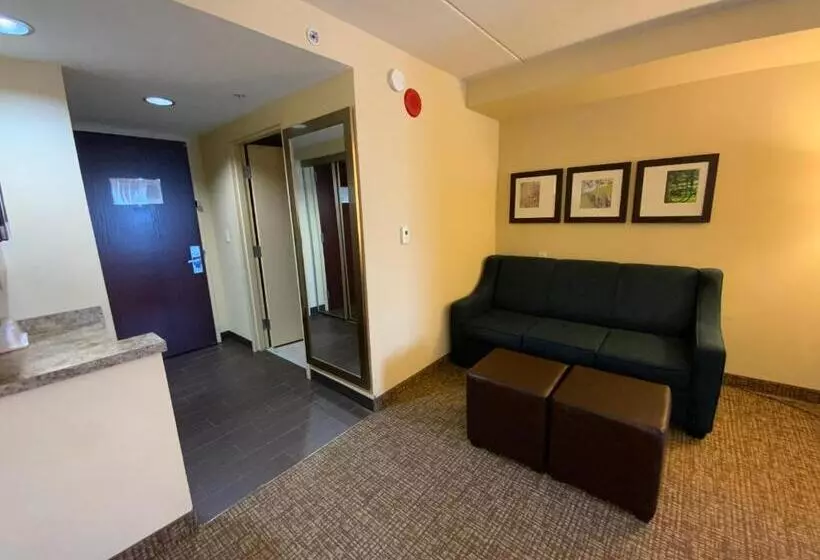 身障者適用スイートルーム, Comfort Suites Fredericksburg North