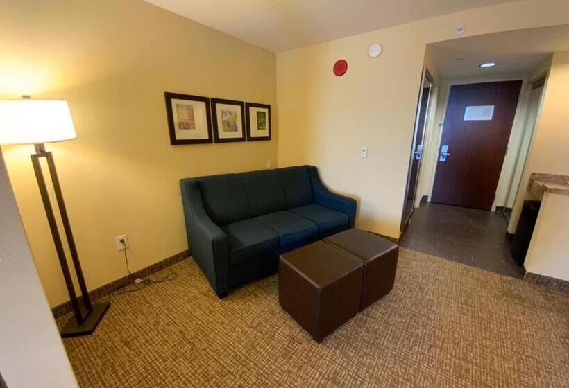 Люкс Адаптированный для Инвалидов, Comfort Suites Fredericksburg North
