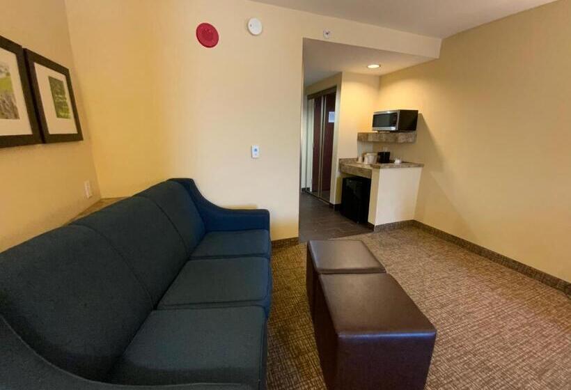 장애인을 위한 스위트, Comfort Suites Fredericksburg North