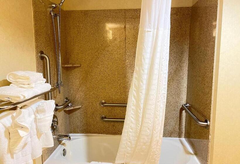 장애인을 위한 스위트, Comfort Suites Fredericksburg North