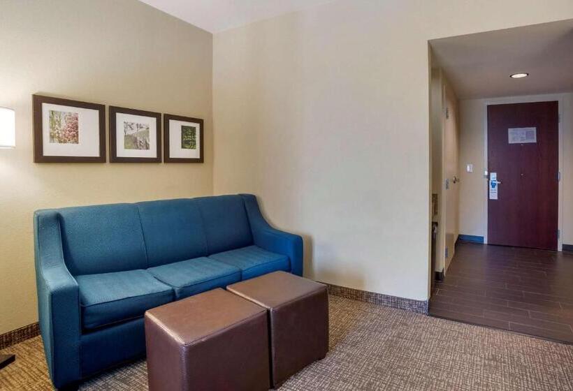 Люкс Адаптированный для Инвалидов, Comfort Suites Fredericksburg North