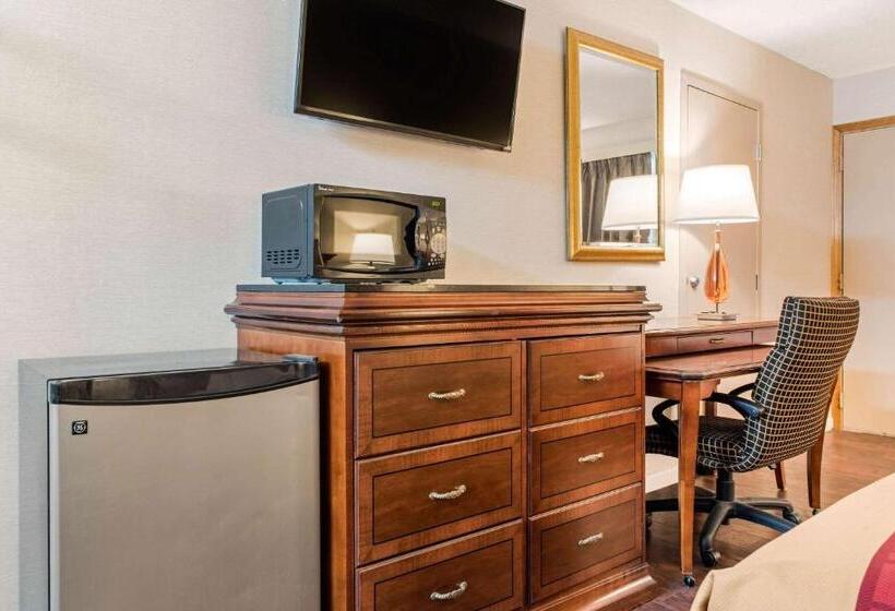 חדר סטנדרט עם מיטת קינג, Econo Lodge