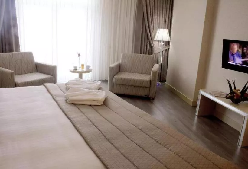 اتاق استاندارد, Eser Premium Hotel & Spa