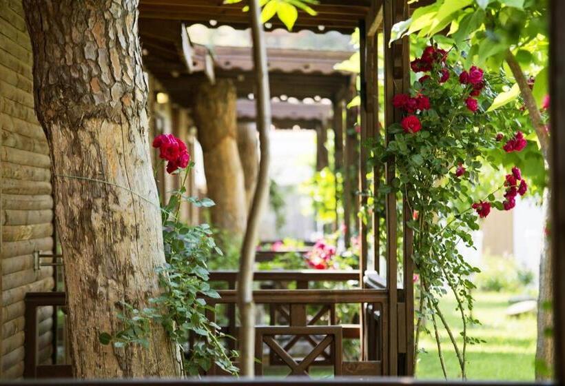 Бунгало Стандарт, Flora Garden Beach Club   All Inclusive