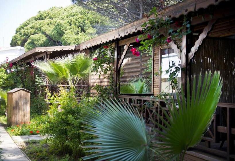 스탠다드 방갈로, Flora Garden Beach Club   All Inclusive