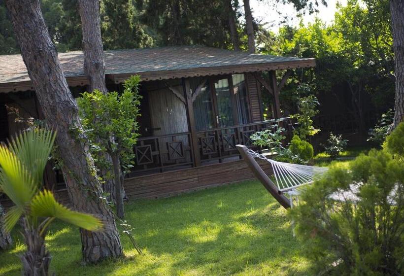 스탠다드 방갈로, Flora Garden Beach Club   All Inclusive