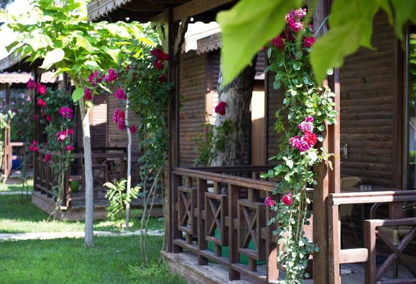 스탠다드 방갈로, Flora Garden Beach Club   All Inclusive