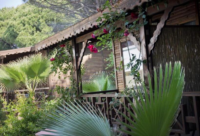 Бунгало Стандарт, Flora Garden Beach Club   All Inclusive
