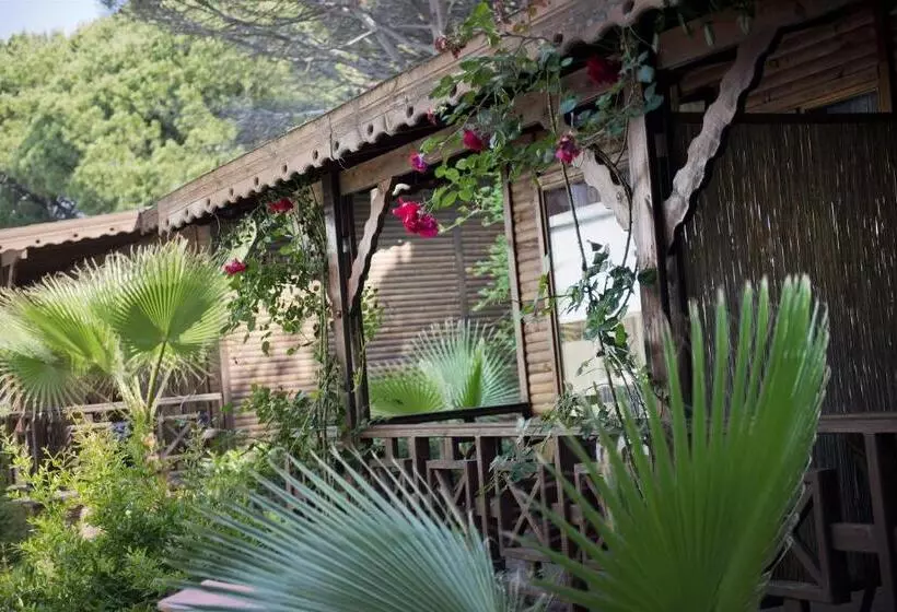 スタンダードバンガロー, Flora Garden Beach Club   All Inclusive