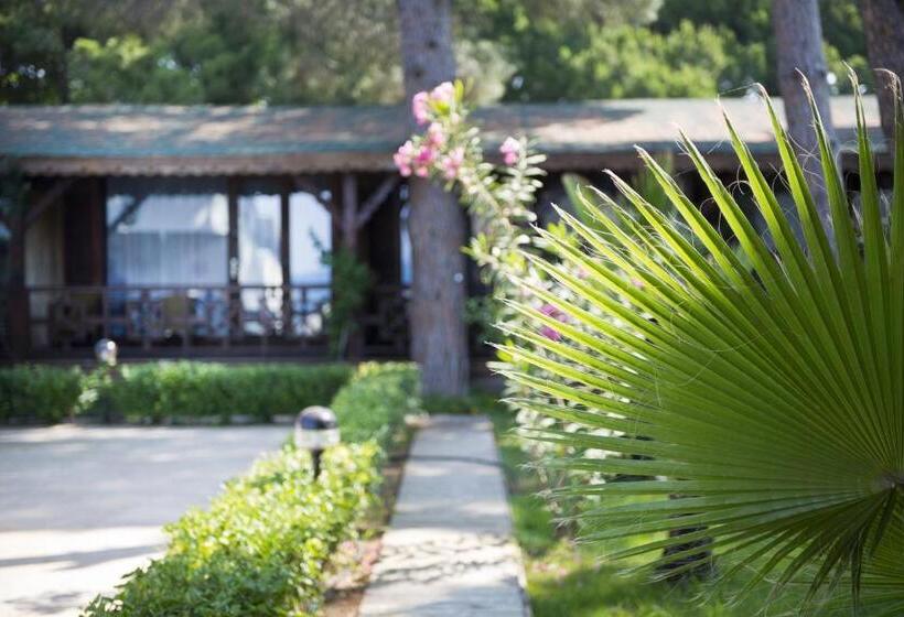 스탠다드 방갈로, Flora Garden Beach Club   All Inclusive