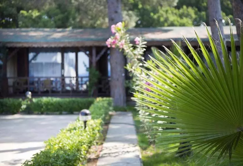 スタンダードバンガロー, Flora Garden Beach Club   All Inclusive