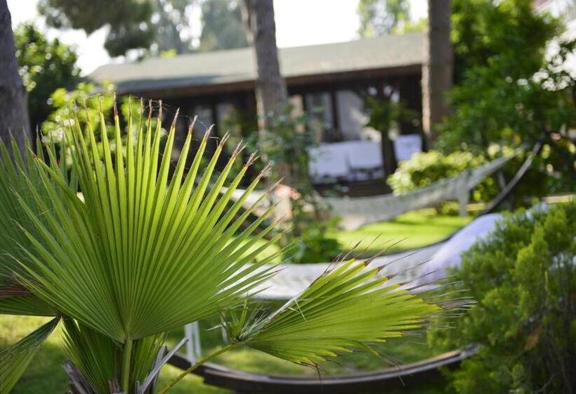 스탠다드 방갈로, Flora Garden Beach Club   All Inclusive