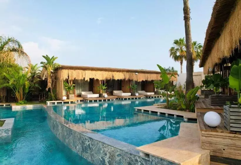 プールビュースタンダードルーム, Flora Garden Beach Club   All Inclusive