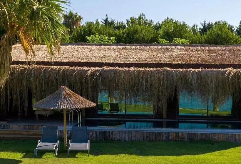 ビラホテル１ベッドルーム, Flora Garden Beach Club   All Inclusive