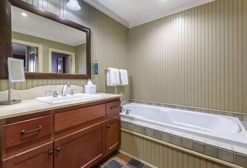 استودیو استاندارد با تخت کینگ, Hilton Grand Vacations Club At Hilton Hawaiian Village