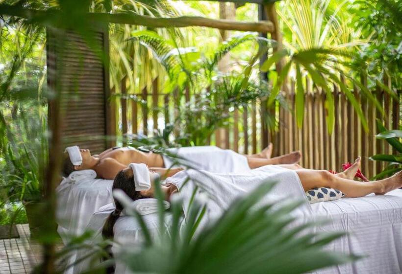 סטודיו סטנדרט, מיטה זוגית, Pumilio Mountain & Ocean