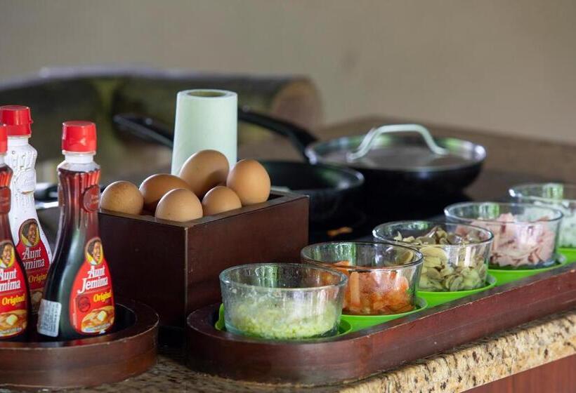 סטודיו משפחתי, Pumilio Mountain & Ocean