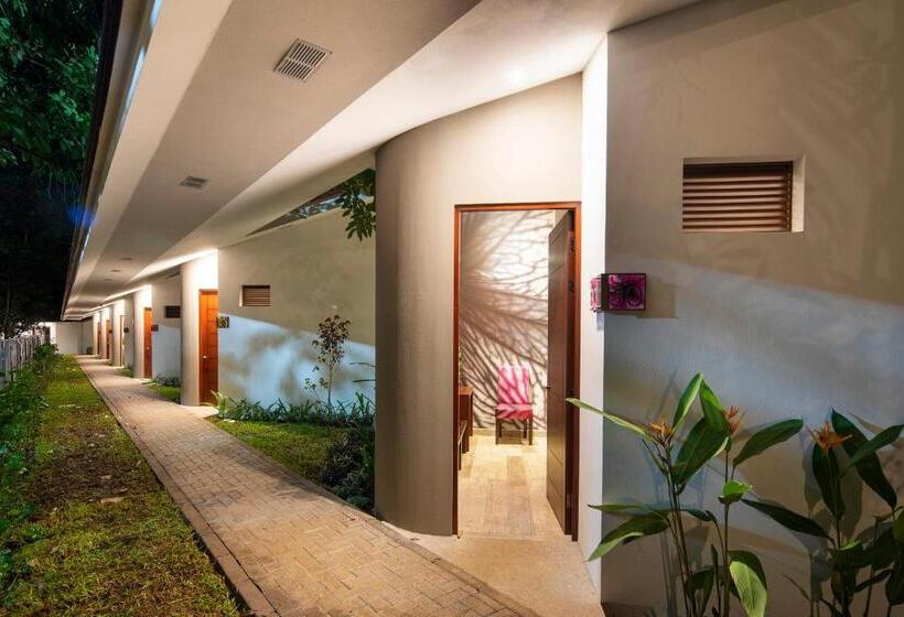 חדר סופריור עם מיטת קינג, Pumilio Mountain & Ocean