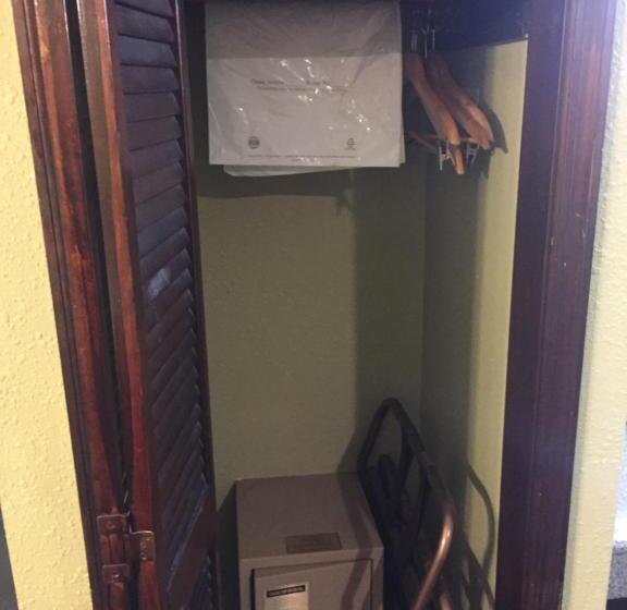 جناح سرير كينج, Rodeway Inn & Suites