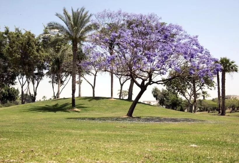 اتاق استاندارد, Swiss Inn Pyramids Golf Resort