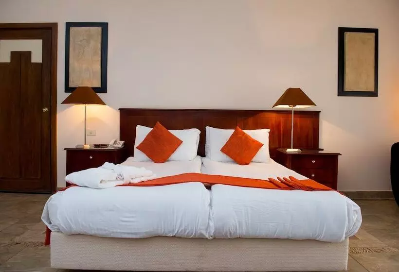 اتاق اکونومی, Swiss Inn Pyramids Golf Resort