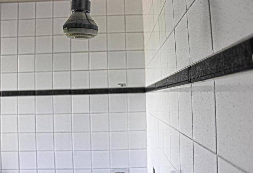 Номер Стандарт, Park