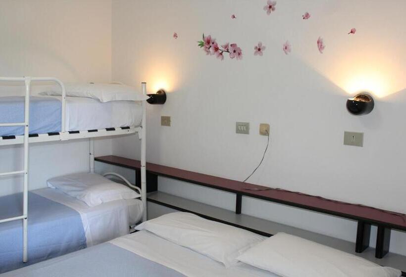 Четырехместный Номер Economy, Park