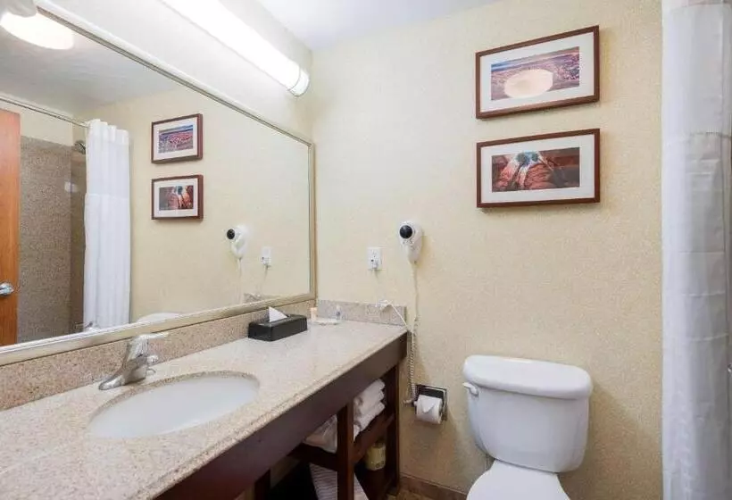 اتاق استاندارد با تخت بزرگ, Comfort Inn & Suites
