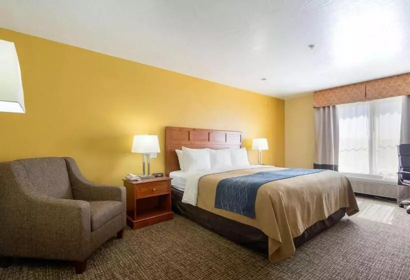 اتاق استاندارد با تخت بزرگ, Comfort Inn & Suites