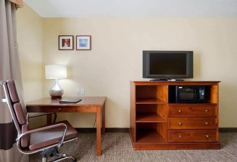 اتاق استاندارد با تخت بزرگ, Comfort Inn & Suites