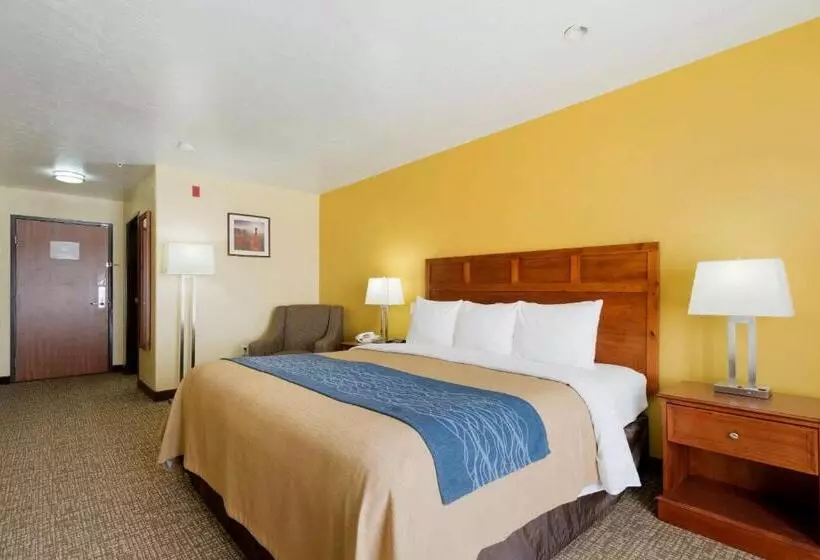 اتاق استاندارد با تخت بزرگ, Comfort Inn & Suites