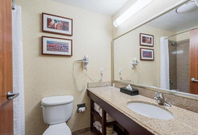 غرفة قياسية, Comfort Inn & Suites